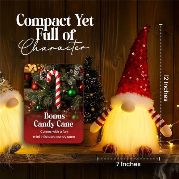 2PCS Christmas Gnomes Decorations and Christmas Decorations Indoor Lighted - - Picture 2 of 7